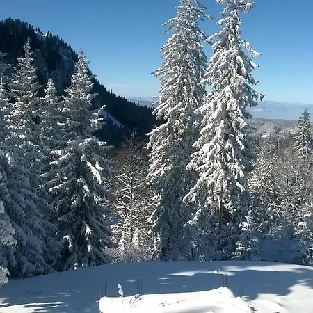 Lejlighed Milinkovic *