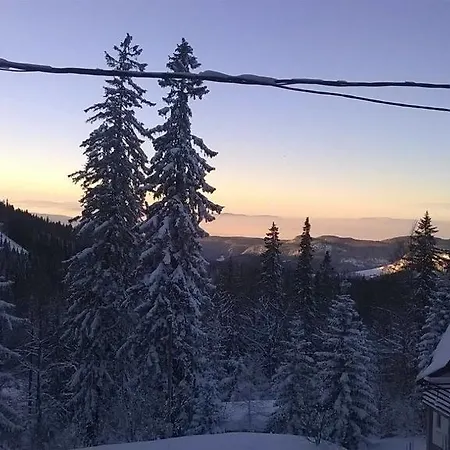 Daire Milinkovic Jahorina