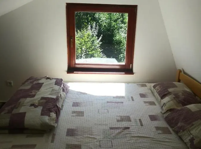 Milinkovic 亚霍里纳